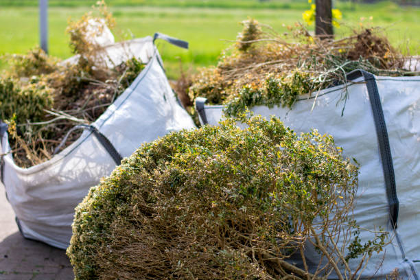 Best Basement Cleanout Services  in Choudrant, LA